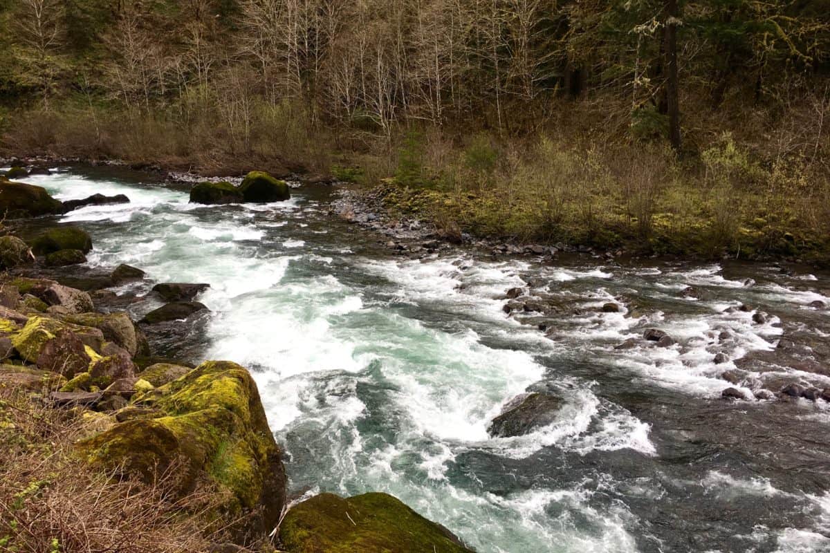 Molalla River Rafting & Kayaking 